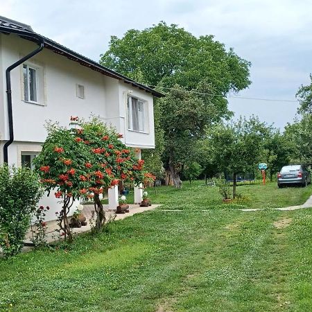 منزل الضيف Cîrţişoara  في Casa Pandrea المظهر الخارجي الصورة