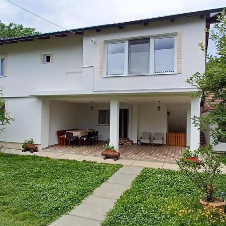 منزل الضيف Cîrţişoara  في Casa Pandrea المظهر الخارجي الصورة