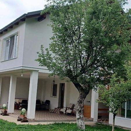 منزل الضيف Cîrţişoara  في Casa Pandrea المظهر الخارجي الصورة