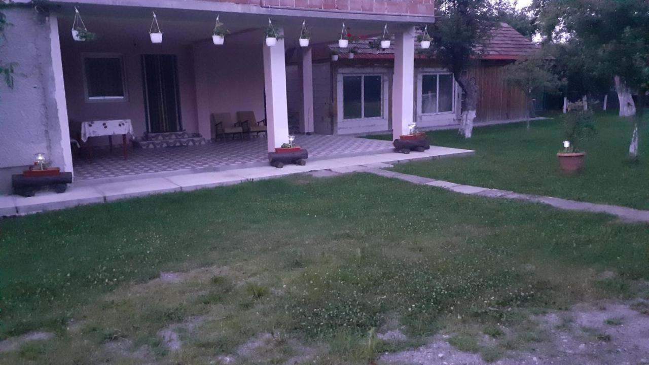 منزل الضيف Cîrţişoara  في Casa Pandrea المظهر الخارجي الصورة