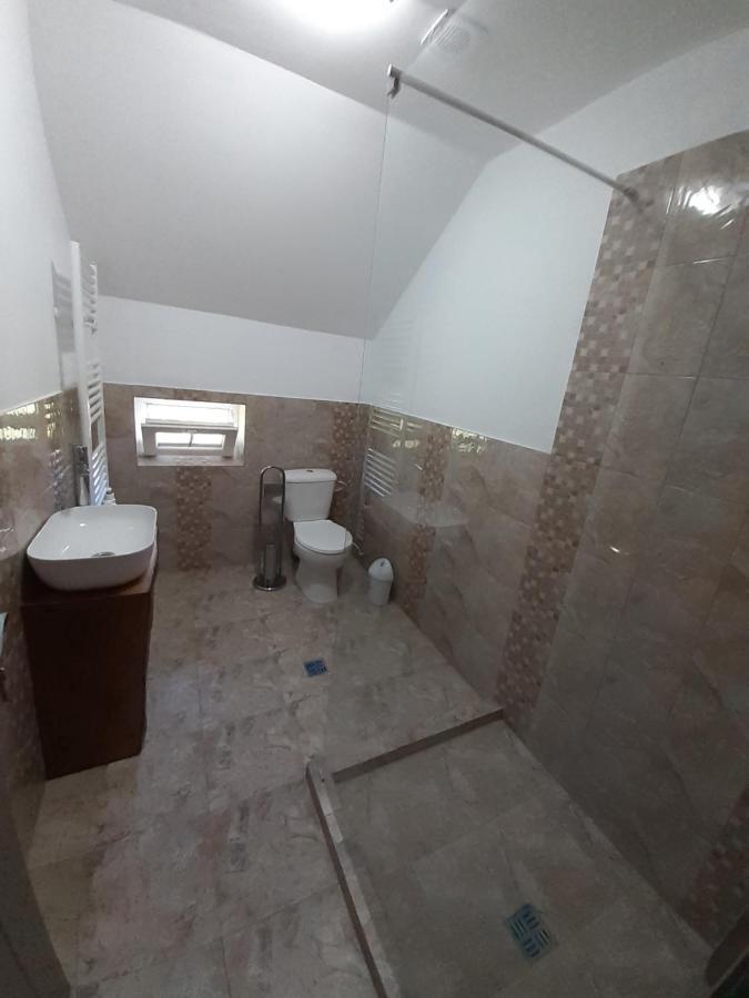 منزل الضيف Cîrţişoara  في Casa Pandrea المظهر الخارجي الصورة