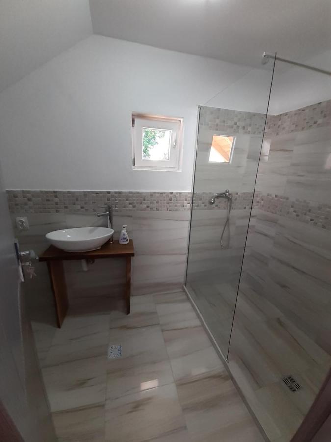 منزل الضيف Cîrţişoara  في Casa Pandrea المظهر الخارجي الصورة