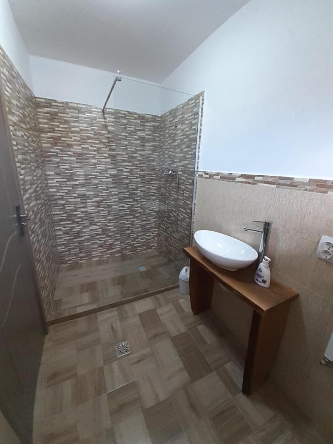 منزل الضيف Cîrţişoara  في Casa Pandrea المظهر الخارجي الصورة