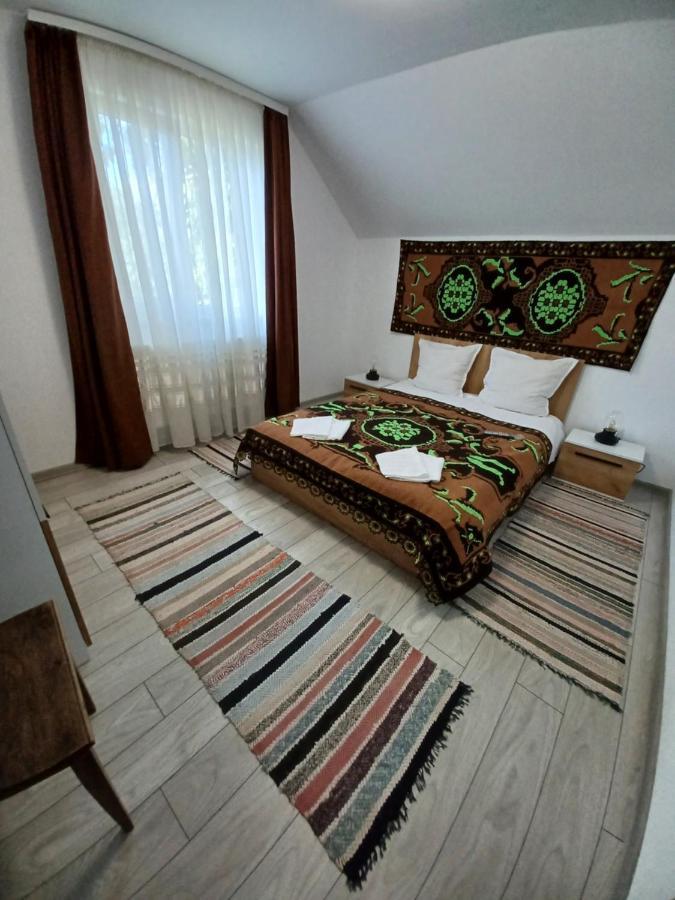 منزل الضيف Cîrţişoara  في Casa Pandrea المظهر الخارجي الصورة