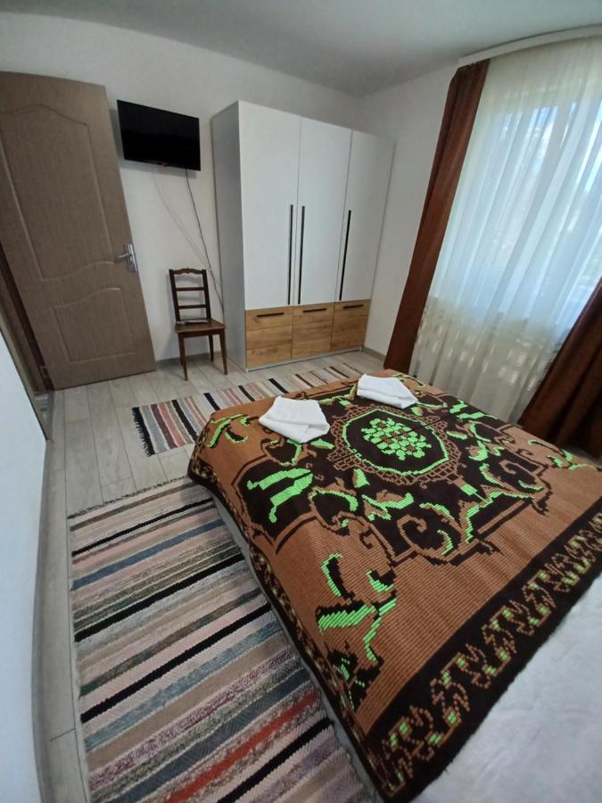 منزل الضيف Cîrţişoara  في Casa Pandrea المظهر الخارجي الصورة