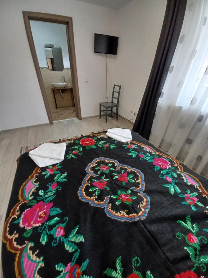 منزل الضيف Cîrţişoara  في Casa Pandrea المظهر الخارجي الصورة
