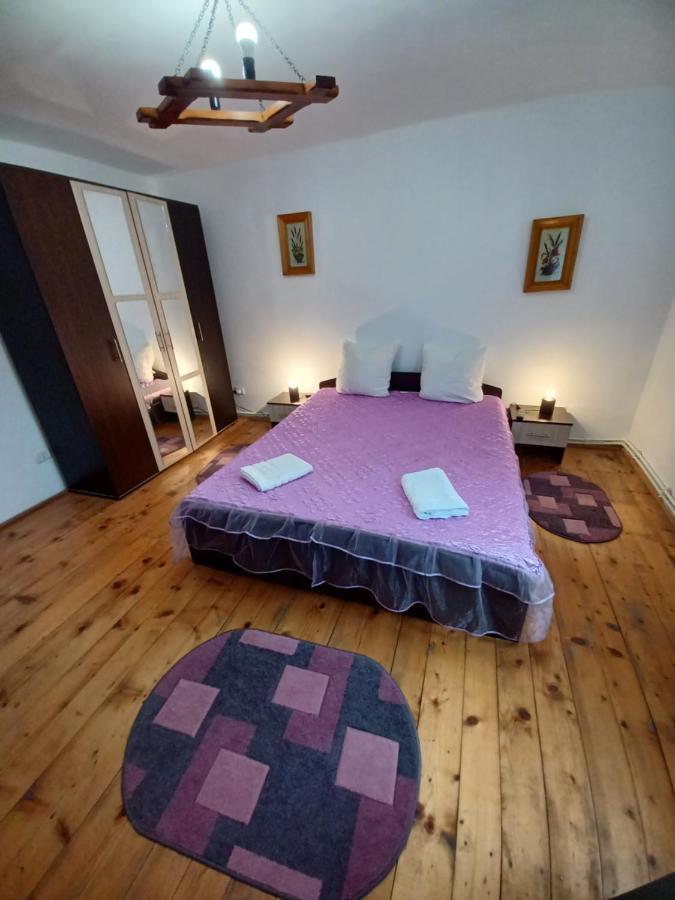 منزل الضيف Cîrţişoara  في Casa Pandrea المظهر الخارجي الصورة