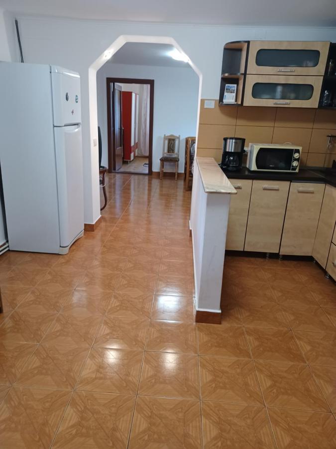 منزل الضيف Cîrţişoara  في Casa Pandrea المظهر الخارجي الصورة
