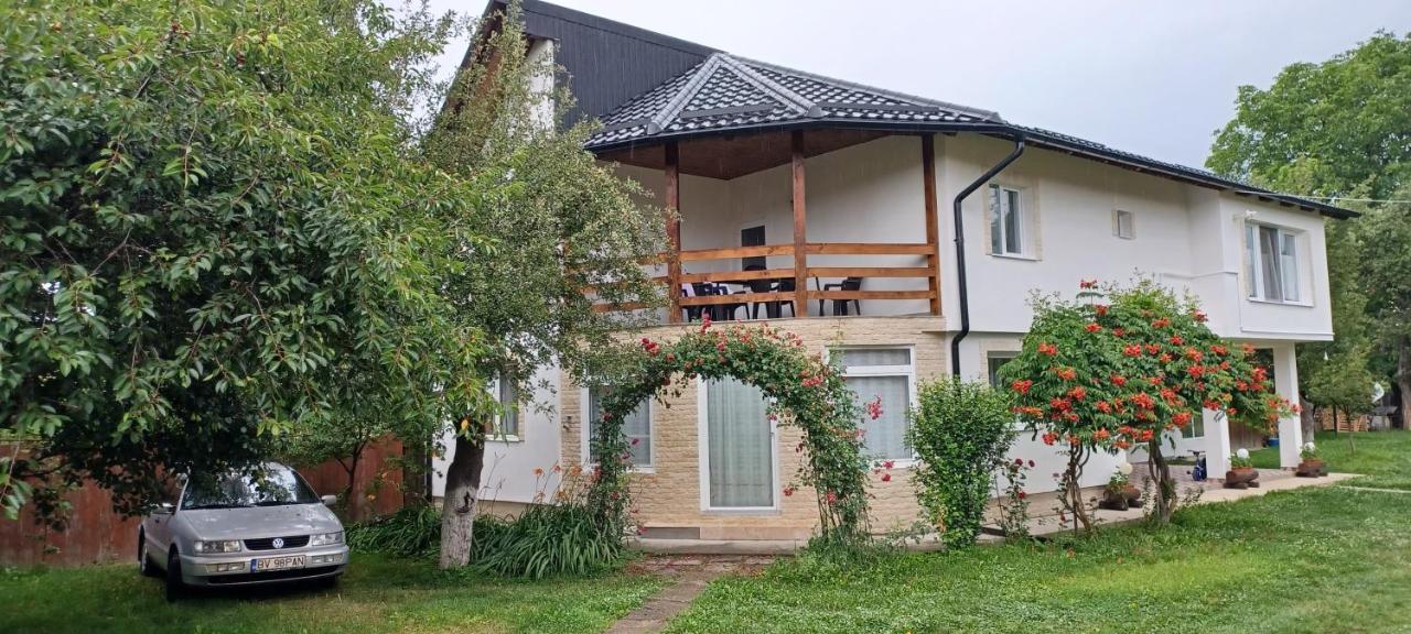 منزل الضيف Cîrţişoara  في Casa Pandrea المظهر الخارجي الصورة