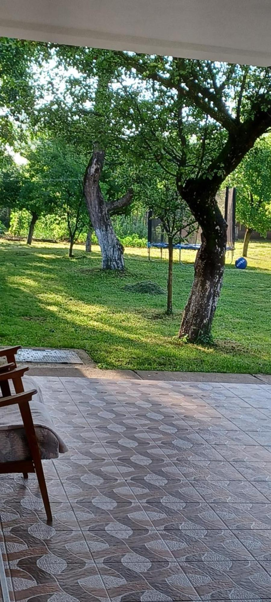 منزل الضيف Cîrţişoara  في Casa Pandrea المظهر الخارجي الصورة