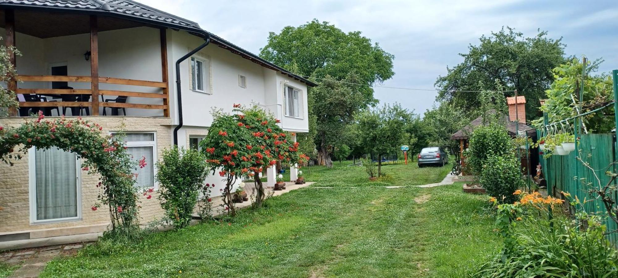 منزل الضيف Cîrţişoara  في Casa Pandrea المظهر الخارجي الصورة