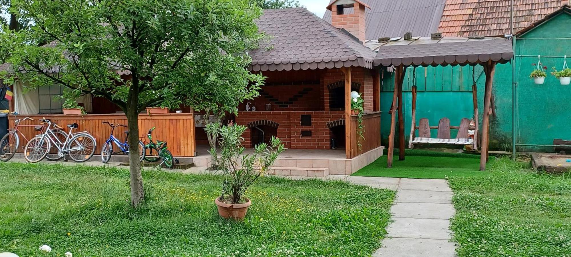 منزل الضيف Cîrţişoara  في Casa Pandrea المظهر الخارجي الصورة